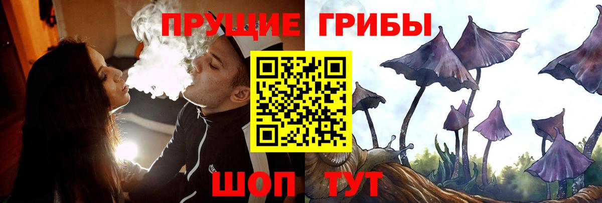 Псилоцибиновые грибы MAGIC MUSHROOMS  Вход с VPN  Нерюнгри 